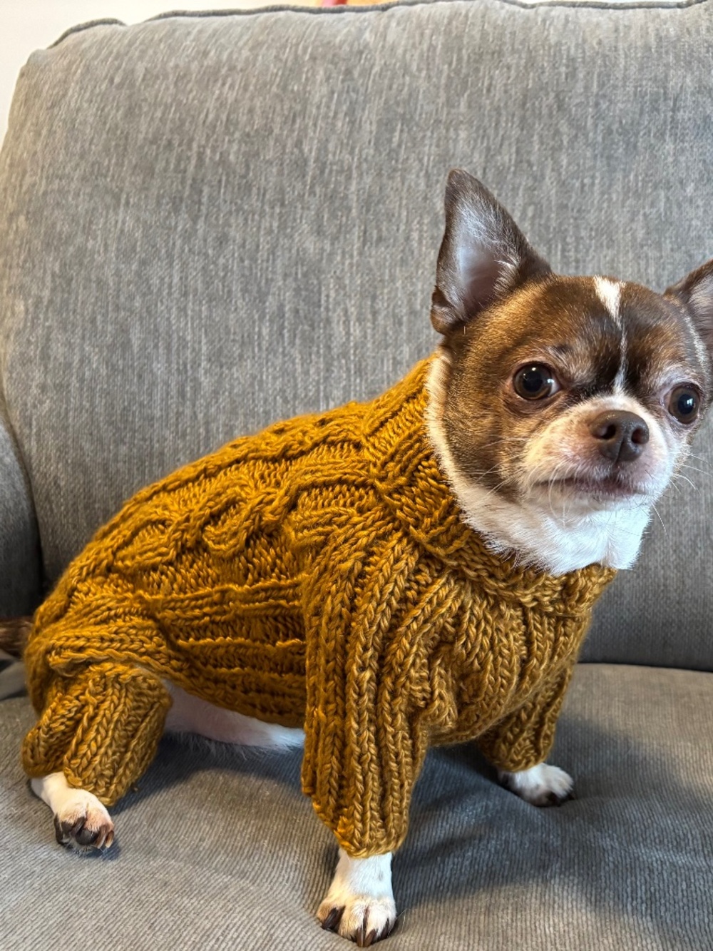 Mustard Knitted Dog Jumpsuit – Handmade, & Cozy Outfit for Small to Medium Dogs